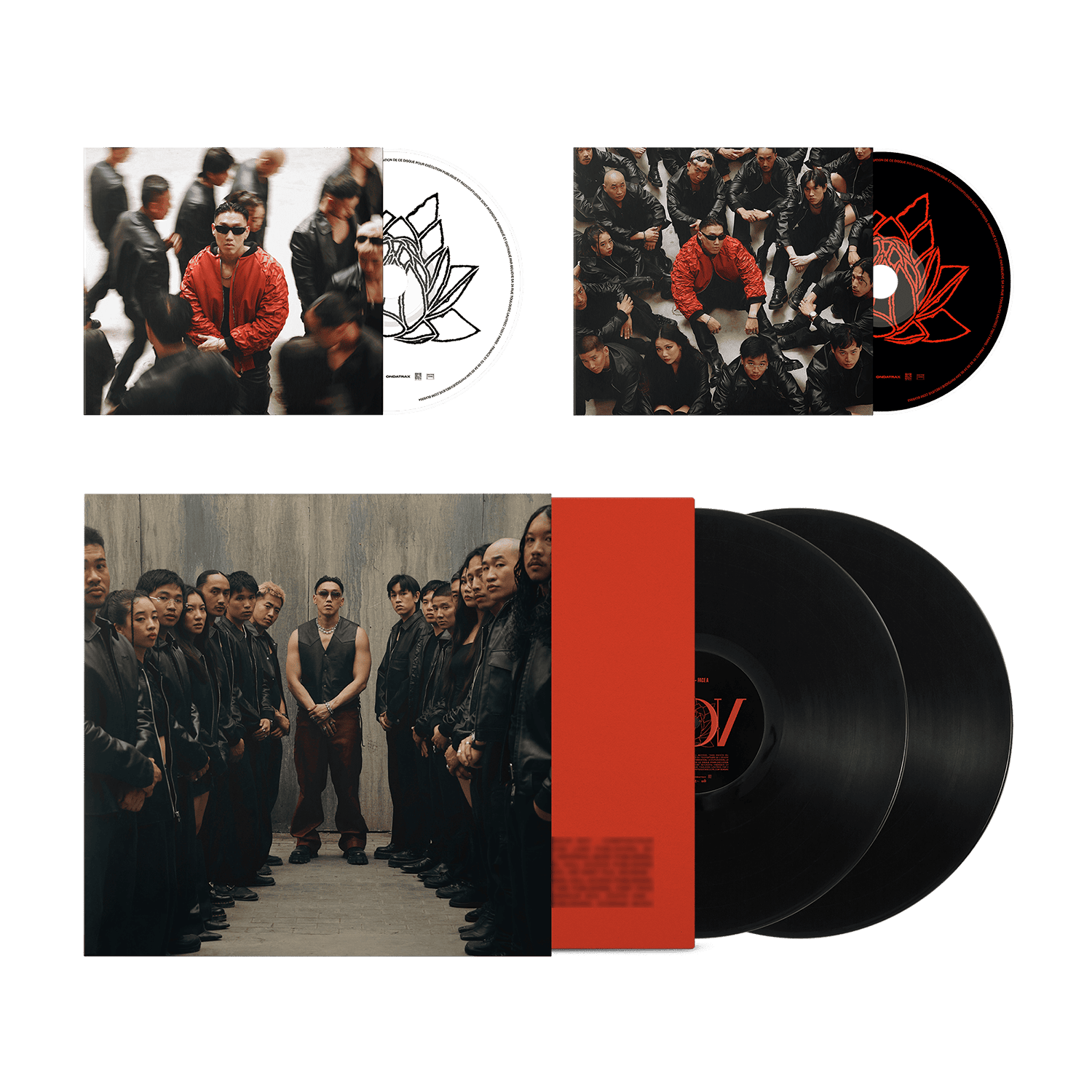 PACK 2 CD + VINYLE