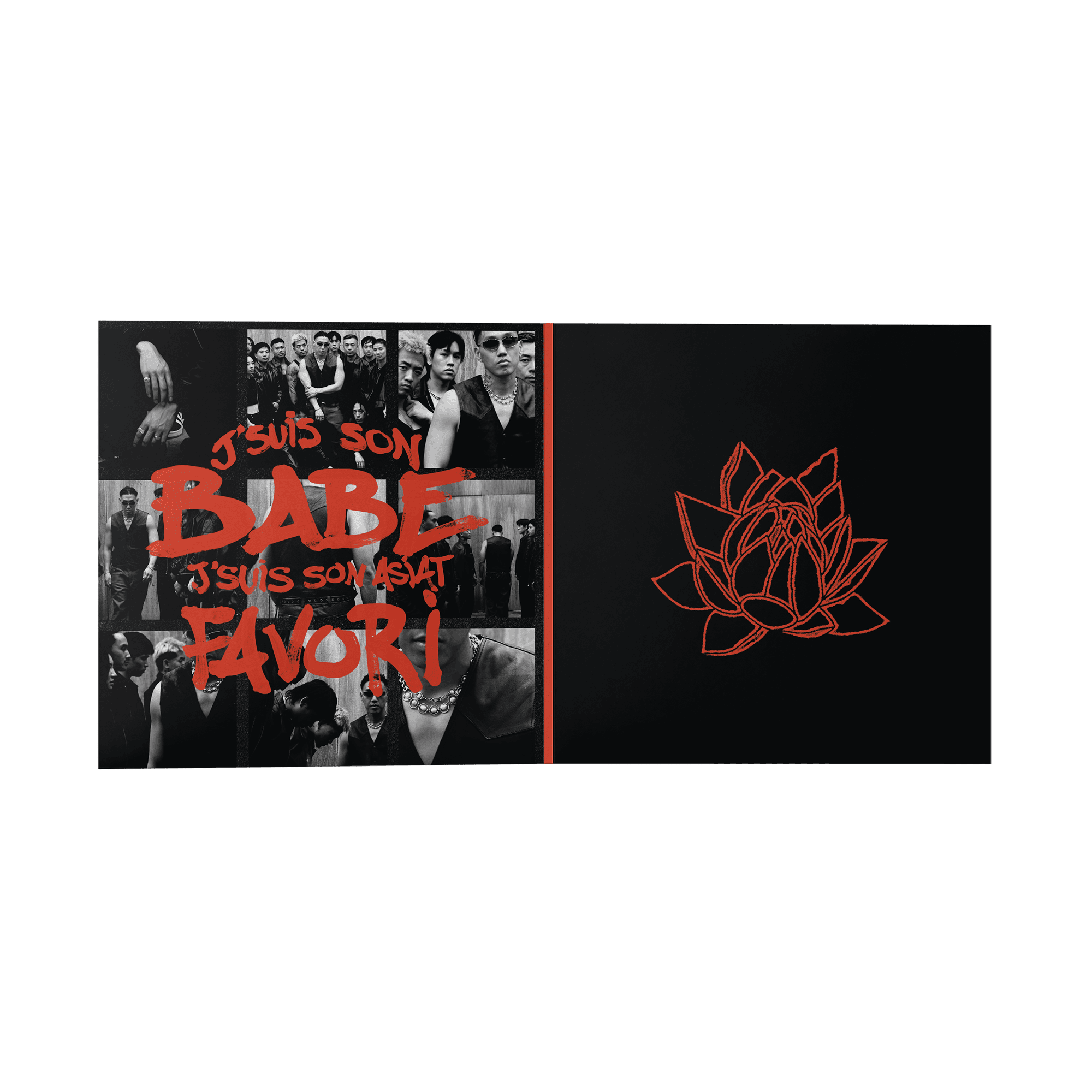 PACK 2 CD + VINYLE